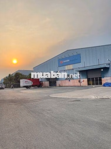 LAZADA TUYỂN SOẠN HÀNG LƯƠNG THỨ 5 HÀNG TUẦN