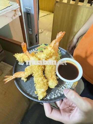 Tuyển Phụ Bếp quán Sushi
