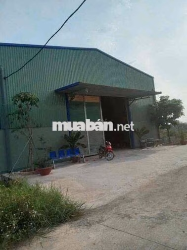 🔴 CHO THUÊ KHO XƯỞNG ĐỨC HÒA ĐÔNG LONG AN HÌNH ẢNH THẬT GIÁ RẺ