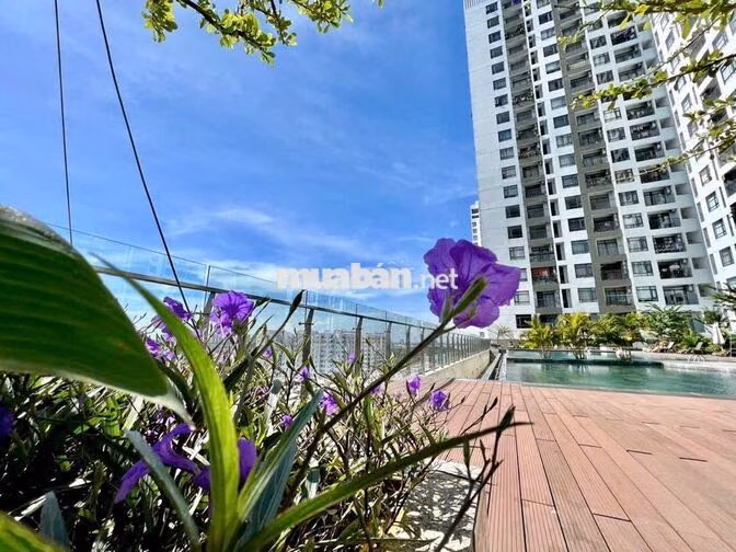 Cho thuê Officetel Central Premium 854 Tạ Quang Bửu, Quận 8.