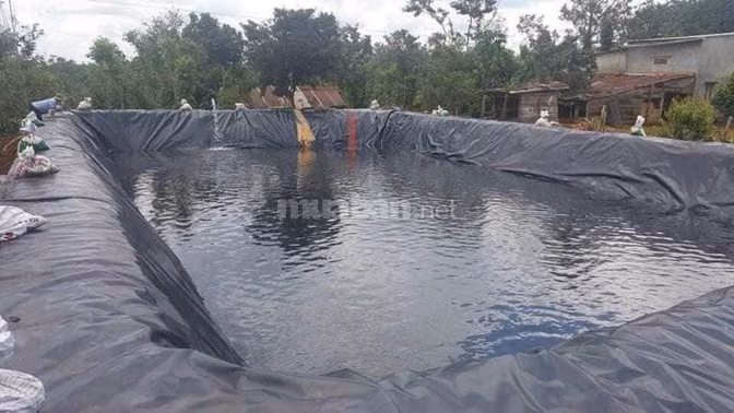 Bạt lót hồ ao cá, bạt nhựa đen đổ bê tông, bạt lót HDPE giá tốt