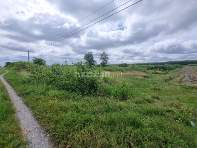 136m2 thổ cư ngay KCN Phước Đông. view kênh. Chỉ 3xx 