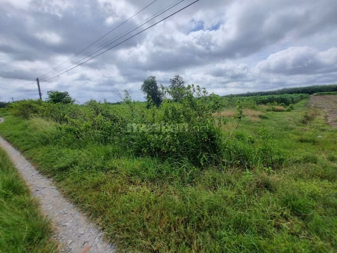 136m2 thổ cư ngay KCN Phước Đông. view kênh. Chỉ 3xx 