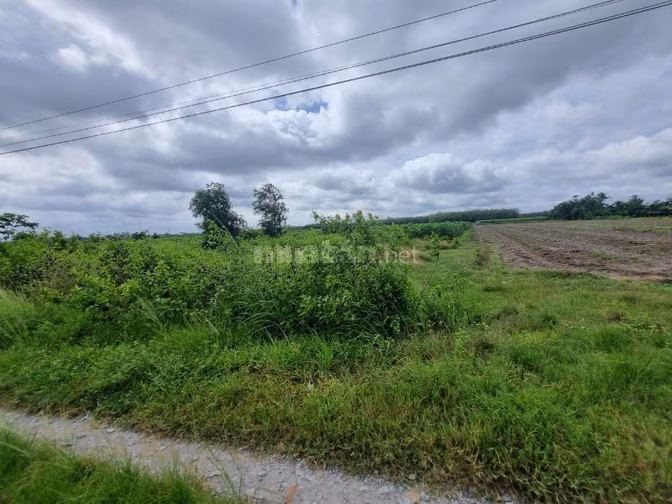 136m2 thổ cư ngay KCN Phước Đông. view kênh. Chỉ 3xx 