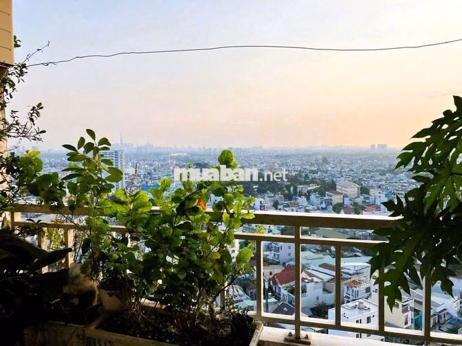 Cho thuê căn hộ Linh Tây Tower 2PN full nội thất cạnh ĐH Cảnh Sát