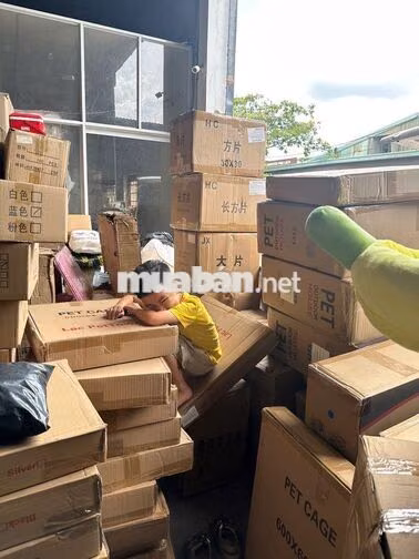 Tuyển 1 nam gói đơn Shopee, chất hàng lên xe