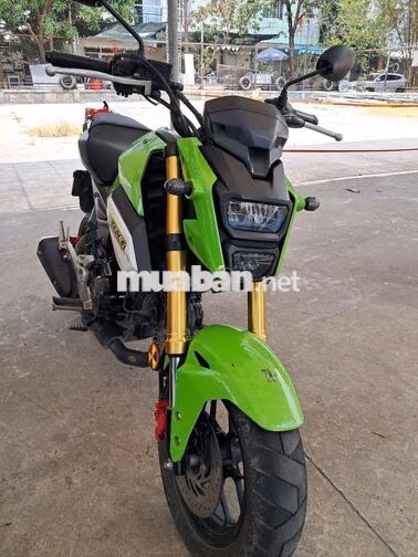 Honda MSX 125cc Xanh Lá