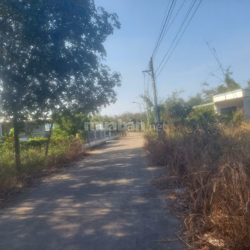 Bán đầy bển tại lai uyên. Bầu bàng 