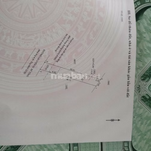 Bán đầy bển tại lai uyên. Bầu bàng 