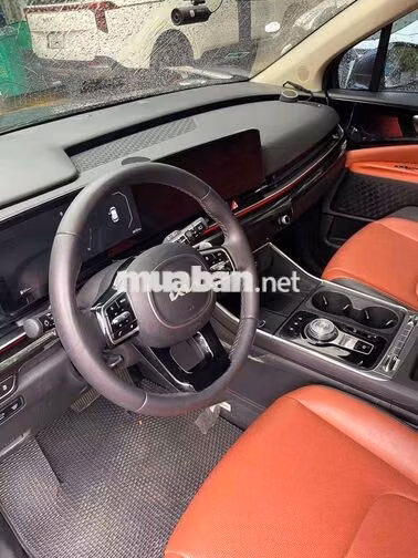 Kia Carnival 2024 7 chỗ Xanh 20000 km