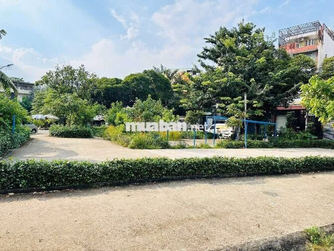 246M ĐẤT TRỐNG XÂY BIỆT THỰ, GẦN CHỢ LINH TRUNG, CHỈ 20 TY