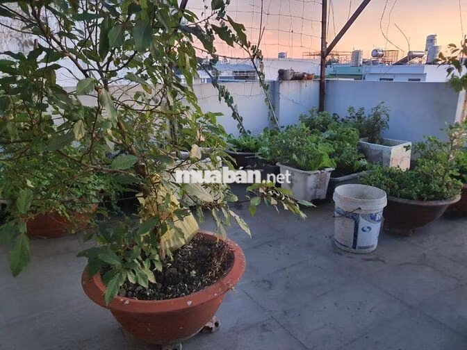 MẶT TIỀN KINH DOANH NGAY CHỢ LINH TRUNG, 4 TẦNG CHỈ 13 TY CÒN TL