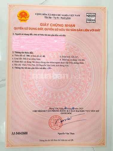124m2 đất đấu giá Giai Phạm, Mặt đường TL381, Cạnh KCN Phố Nối A