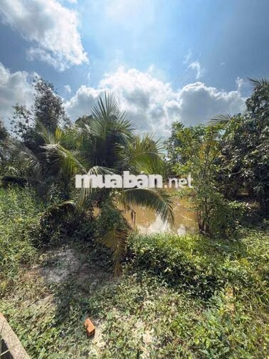Cần bán đất đã có thổ 200m2 xây nhà Đức Huệ Long An