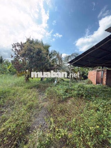 Cần bán đất đã có thổ 200m2 xây nhà Đức Huệ Long An