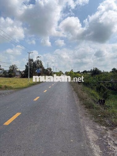 Cần bán đất đã có thổ 200m2 xây nhà Đức Huệ Long An