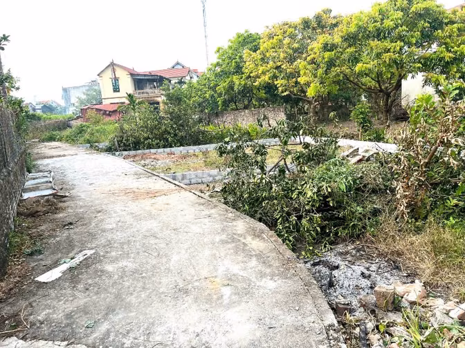 Bán 50m đất full thổ cư CD Quán Trạch, Liên Nghĩa, Văn Giang - 2,15 tỷ