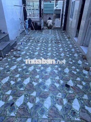 Nguyên căn diện tích khủng Phạm Hữu Lầu quận 7 giá 12
