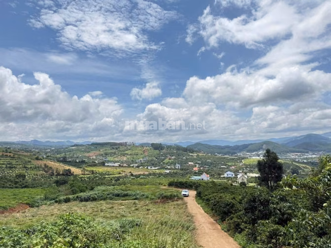 386M2 ĐÂT VIEW 360 ĐỈNH CỦA CHÓP GIÁP ĐÀ LẠT MÀ CHỈ TỪ 7xxTR/LÔ