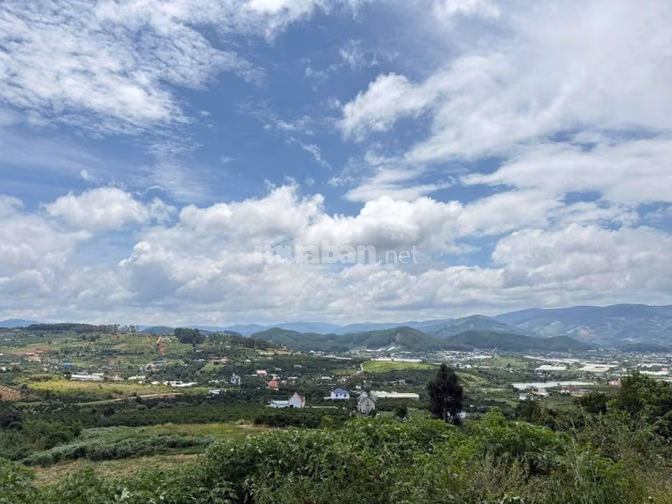 386M2 ĐÂT VIEW 360 ĐỈNH CỦA CHÓP GIÁP ĐÀ LẠT MÀ CHỈ TỪ 7xxTR/LÔ
