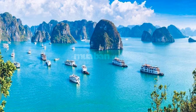 Bán Liền kề -biệt thự Tại VINHOM HẠ LONG XANH .