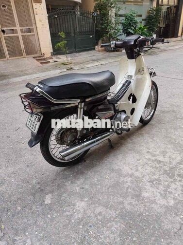 Honda Dream Thái Trắng, Nâu