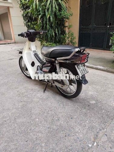 Honda Dream Thái Trắng, Nâu