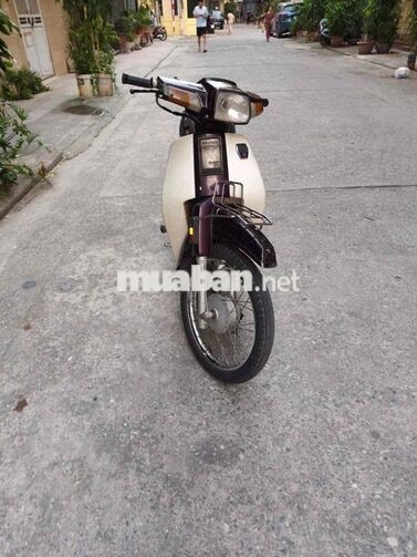Honda Dream Thái Trắng, Nâu
