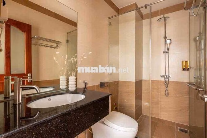 Khách sạn Bạch Đằng, Phường 2, Tân Bình (Phường Tân Sơn Hòa) - Diện tí