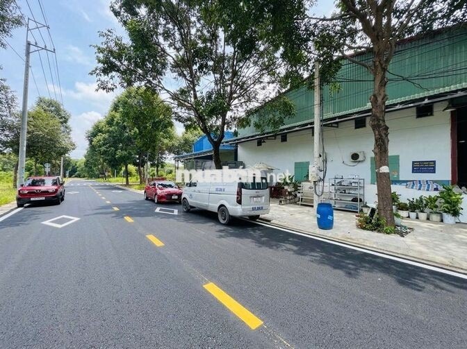 CHO THUÊ XƯỞNG THÀNH PHỐ MỚI BÌNH DƯƠNG