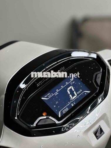 Honda Stylo 160 ABS Custom 2026 Trắng