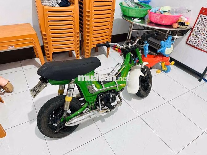 Honda Chaly 72cc Xanh lá Cổ điển