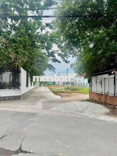 BÁN LÔ ĐẤT PHÚ LỢI THỦ DẦU MỘT NGANG 6,8m