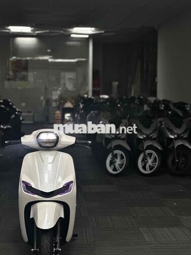 Honda Stylo 160 ABS Custom 2026 Trắng