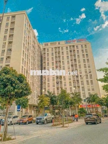 Bán căn hộ Chung cư Phúc Đạt phường Phú Lợi Gần Đại Học Bình Dương