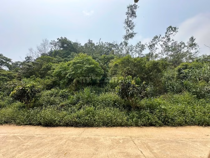 Bán 1000m2 đất ô tô Yên Xuân, Thạch Thất. 500m ra đường Làng Văn Hóa