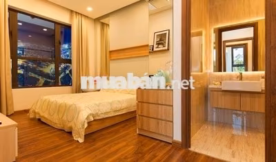 Cho thuê căn hộ The Golden Star Quận 7, 70m2. 2PN 2WC 10,5tr/th