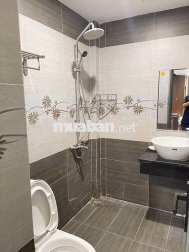 🔝 CĂN HỘ STUDIO CHO NUÔI THÚ CƯNG ĐƯỜNG HOÀNG BÍCH SƠN - SƠN TRÀ 