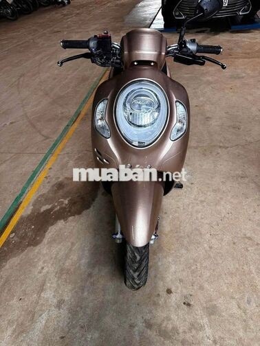XE ĐẸP MỚI KENG