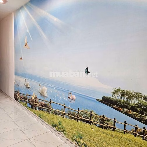 Cho thuê mặt bằng kinh doanh tầng trệt gần chợ Bà Chiểu
