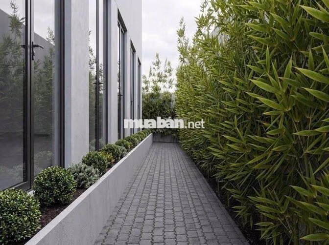 Ở MIỄN PHÍ ĐẾN 20/9 - KHÔNG PHÁT SINH PHÍ DỊCH VỤ