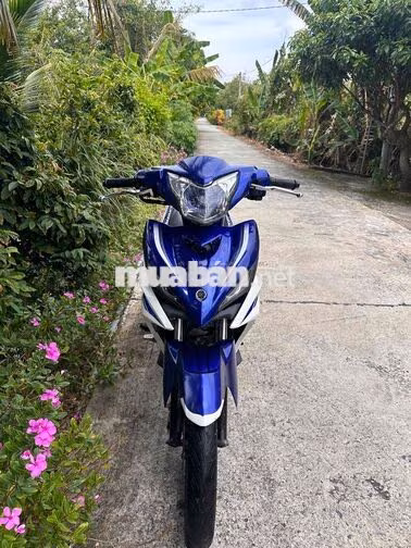 Yamaha Exciter 135 Xanh trắng 5 số