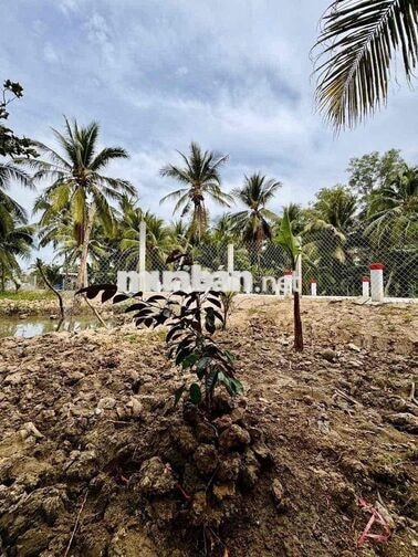 Đất Sơn Đông thành phố Bến Tre ngay lộ Vườn Tiêu
