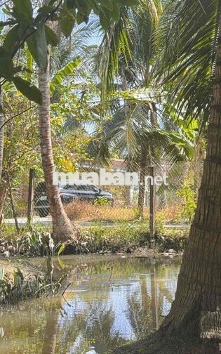 Đất Sơn Đông thành phố Bến Tre ngay lộ Vườn Tiêu