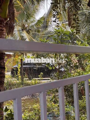 Đất Sơn Đông thành phố Bến Tre ngay lộ Vườn Tiêu