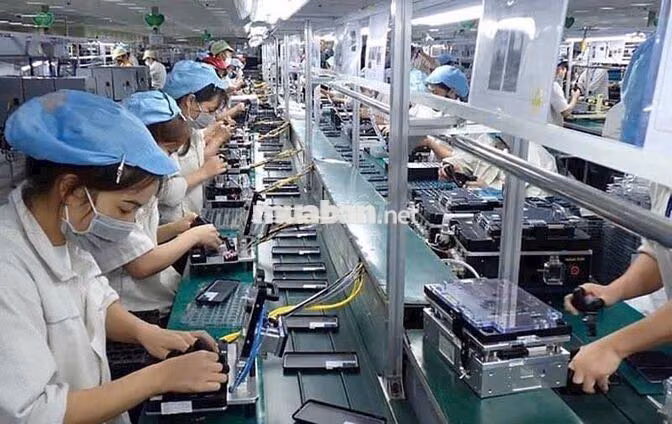 tuyển nhân viên công ty