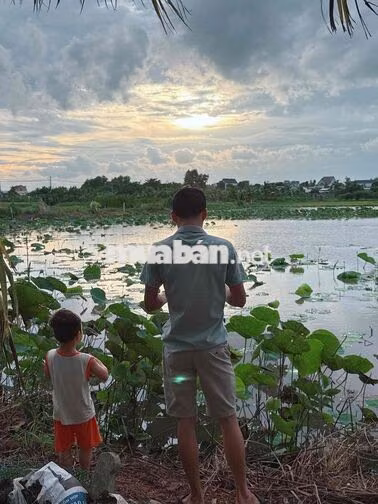 Cần tìm người chăm bé trai 4 tuổi