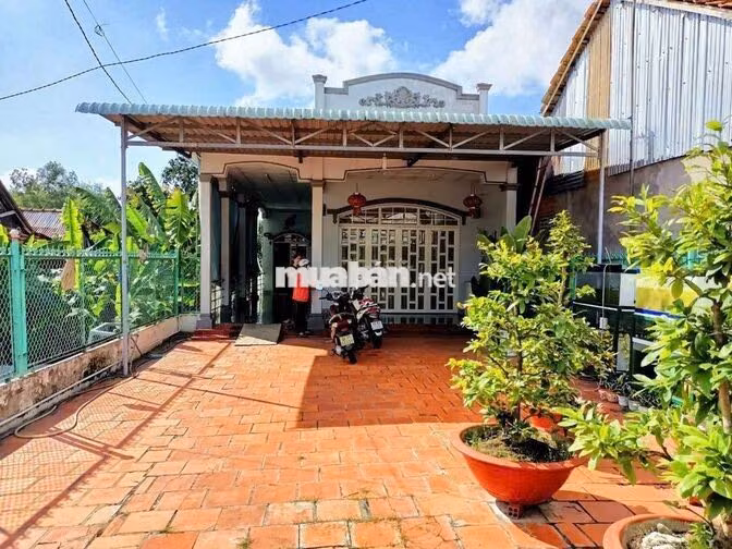 chính chủ cần bán nhà đất full thổ