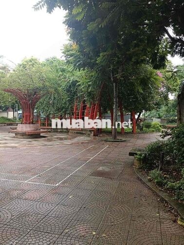 chính chủ cho thuê nhà 33mx3 tầng