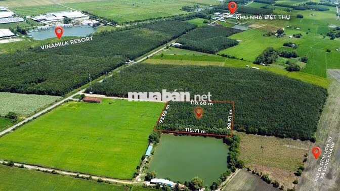 Ra Nhanh đất Bến Cầu Tây Ninh 1Ha - 3tỷ5 chỉ có 1 lô.